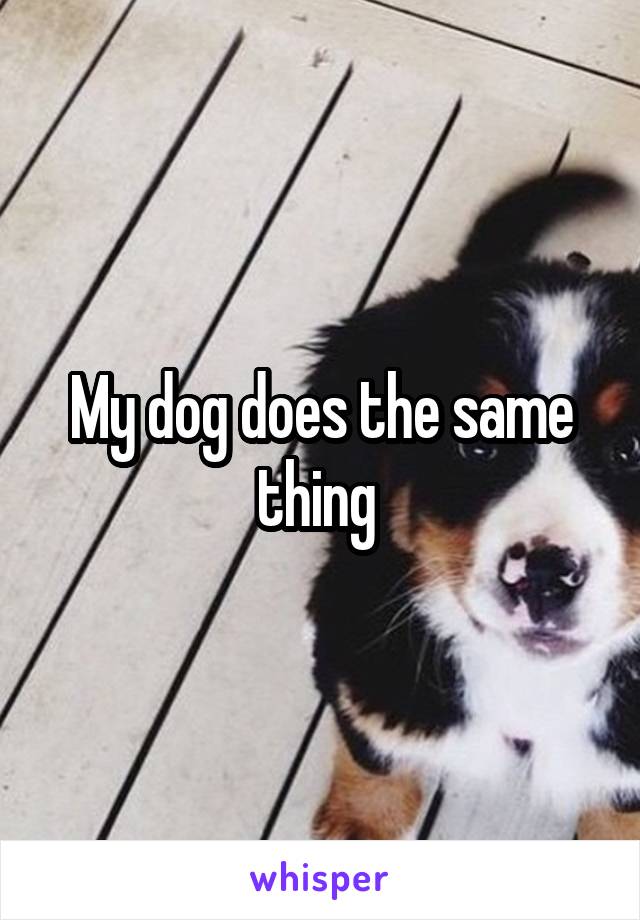 My dog does the same thing 