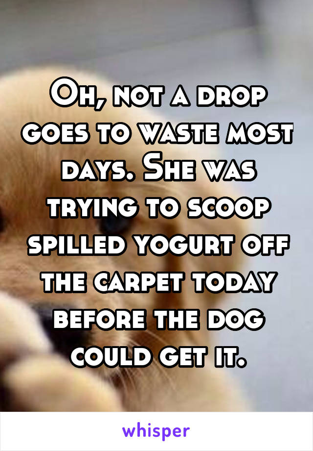 Oh, not a drop goes to waste most days. She was trying to scoop spilled yogurt off the carpet today before the dog could get it.