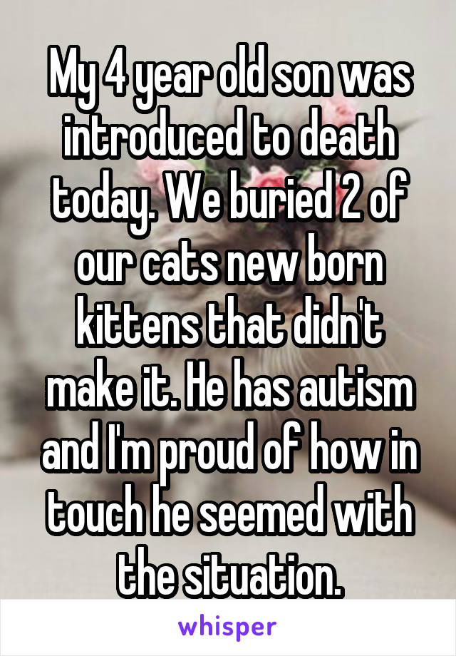 My 4 year old son was introduced to death today. We buried 2 of our cats new born kittens that didn't make it. He has autism and I'm proud of how in touch he seemed with the situation.