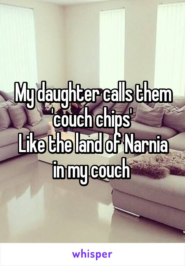 My daughter calls them 'couch chips' 
Like the land of Narnia in my couch 