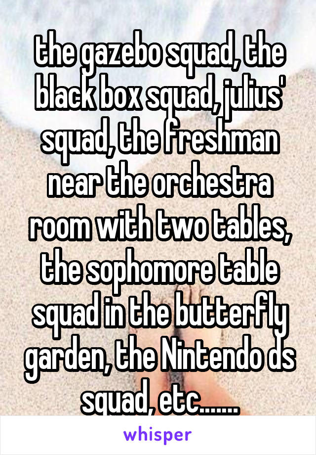 the gazebo squad, the black box squad, julius' squad, the freshman near the orchestra room with two tables, the sophomore table squad in the butterfly garden, the Nintendo ds squad, etc.……