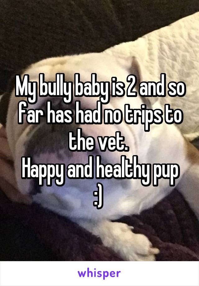 My bully baby is 2 and so far has had no trips to the vet. 
Happy and healthy pup
:) 