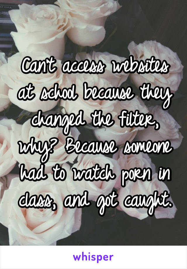 Can't access websites at school because they changed the filter, why? Because someone had to watch porn in class, and got caught.