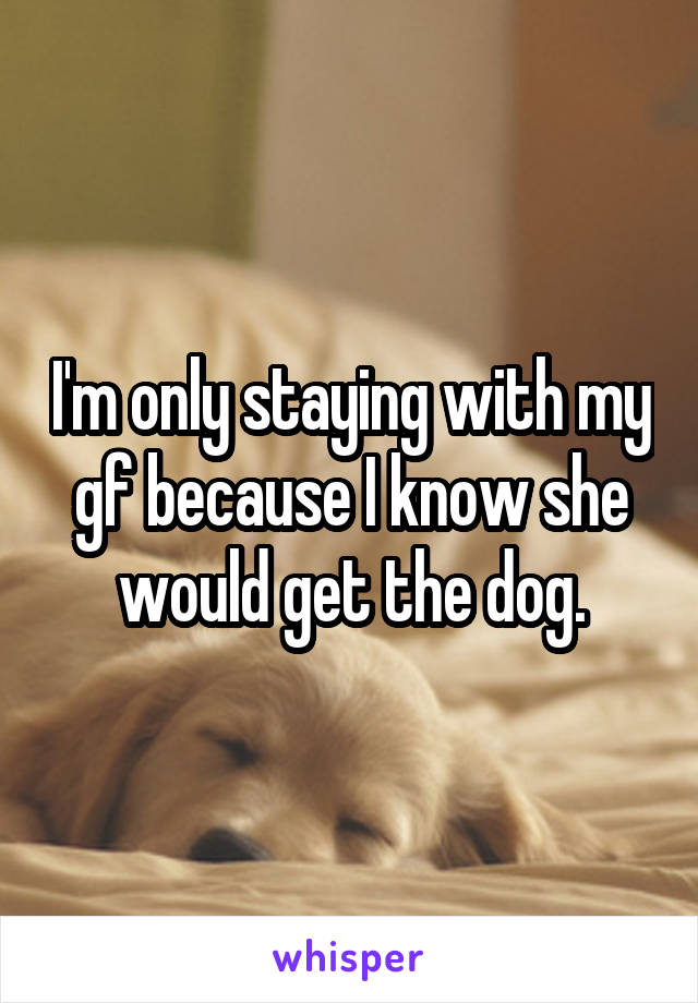 I'm only staying with my gf because I know she would get the dog.
