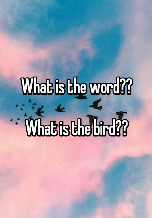 what-is-the-word-what-is-the-bird