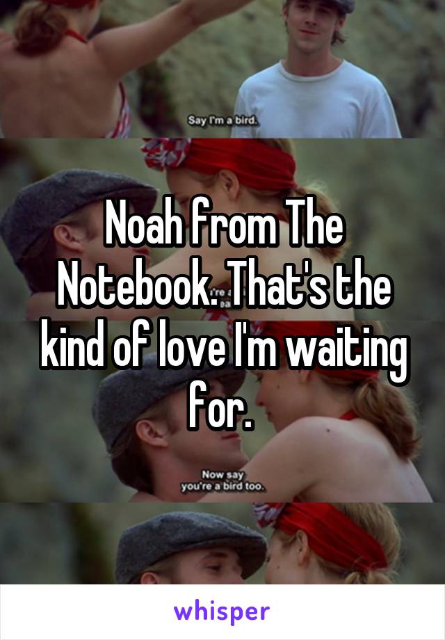 Noah from The Notebook. That's the kind of love I'm waiting for. 