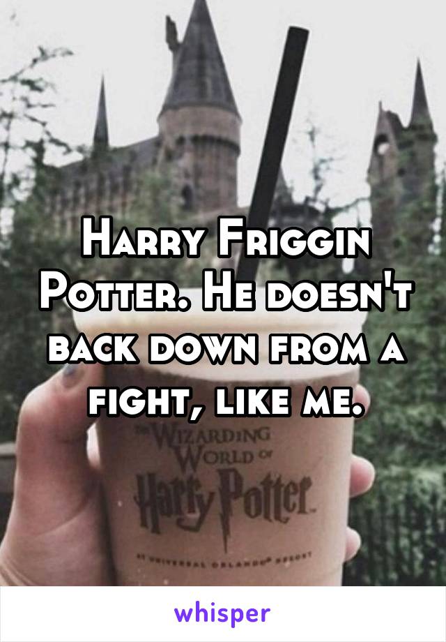Harry Friggin Potter. He doesn't back down from a fight, like me.