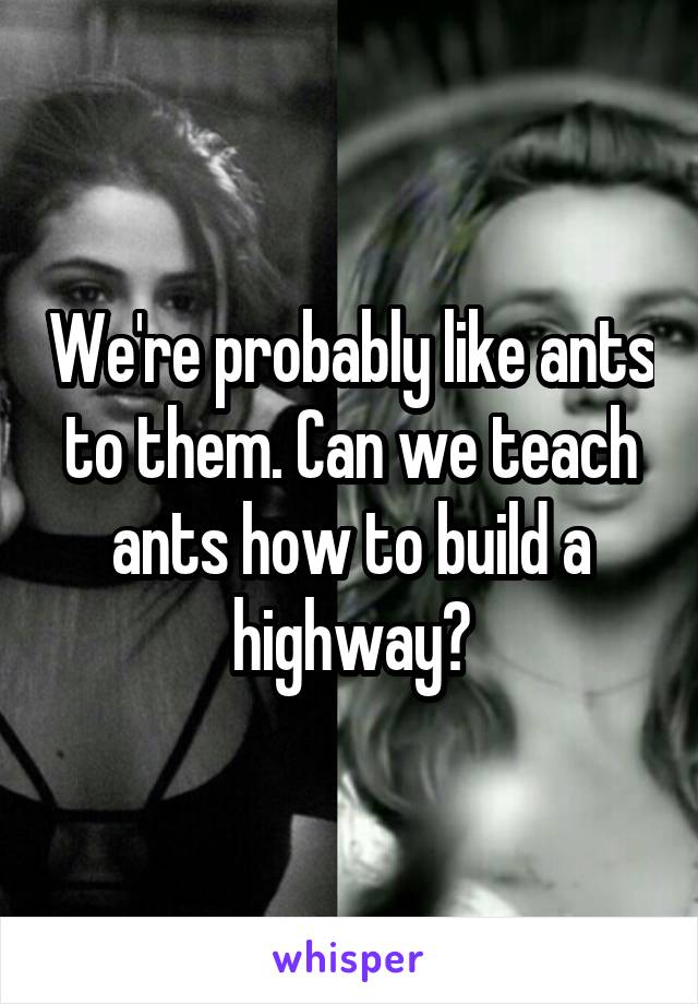 We're probably like ants to them. Can we teach ants how to build a highway?