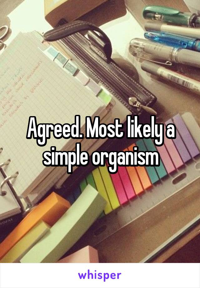 Agreed. Most likely a simple organism