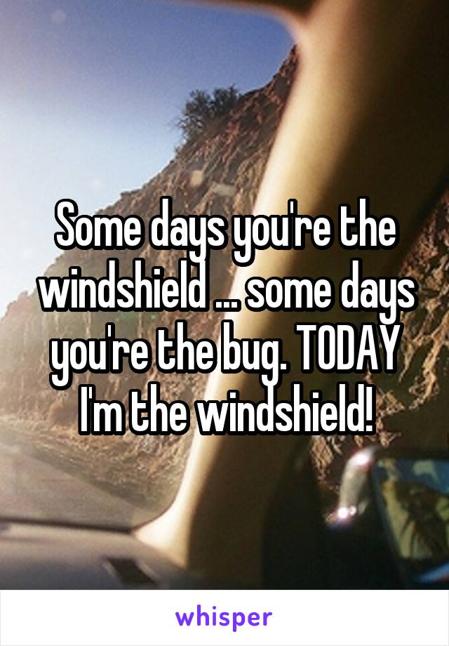 Some days you're the windshield ... some days you're the bug. TODAY I'm the windshield!