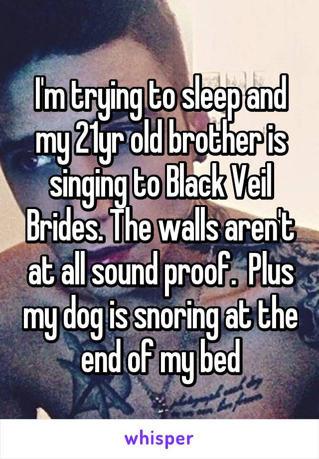 I'm trying to sleep and my 21yr old brother is singing to Black Veil Brides. The walls aren't at all sound proof.  Plus my dog is snoring at the end of my bed