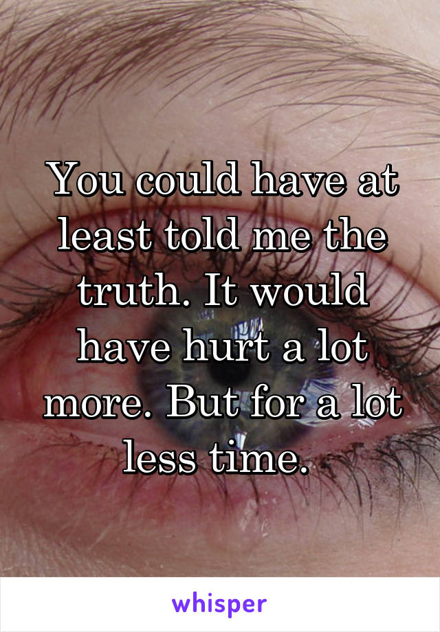 You could have at least told me the truth. It would have hurt a lot more. But for a lot less time. 