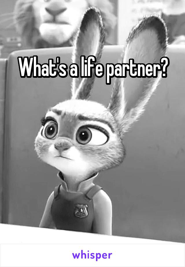 What's a life partner?


 

