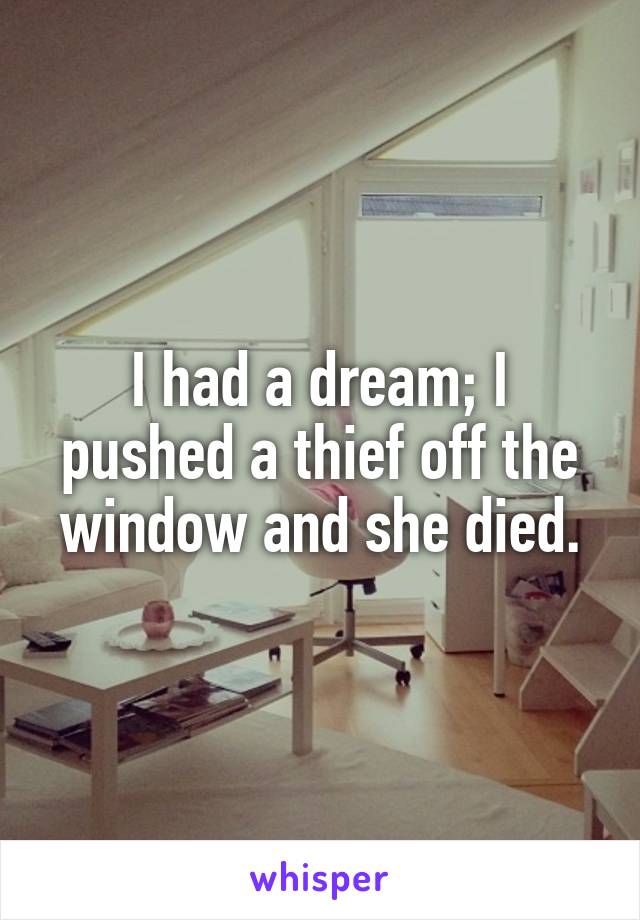 I had a dream; I pushed a thief off the window and she died.