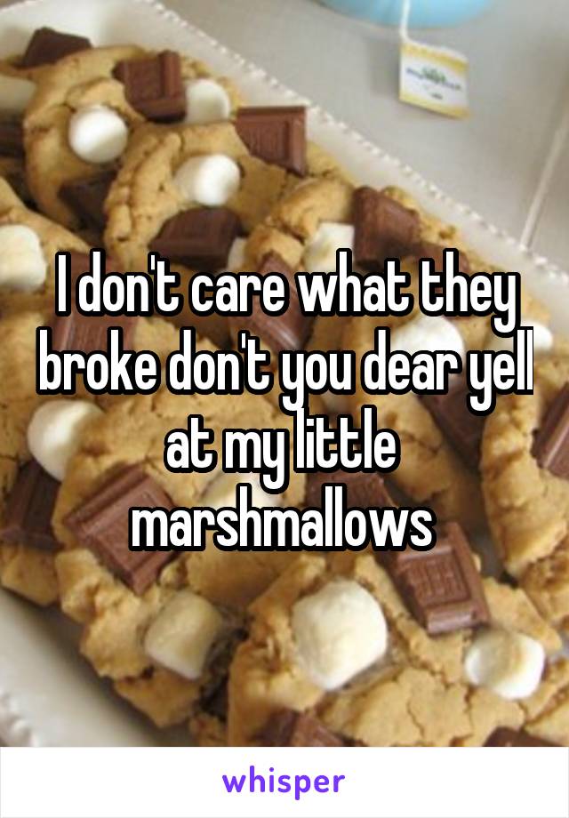 I don't care what they broke don't you dear yell at my little  marshmallows 