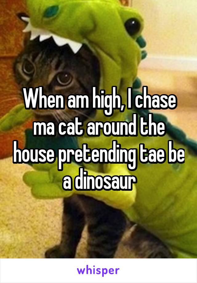 When am high, I chase ma cat around the house pretending tae be a dinosaur