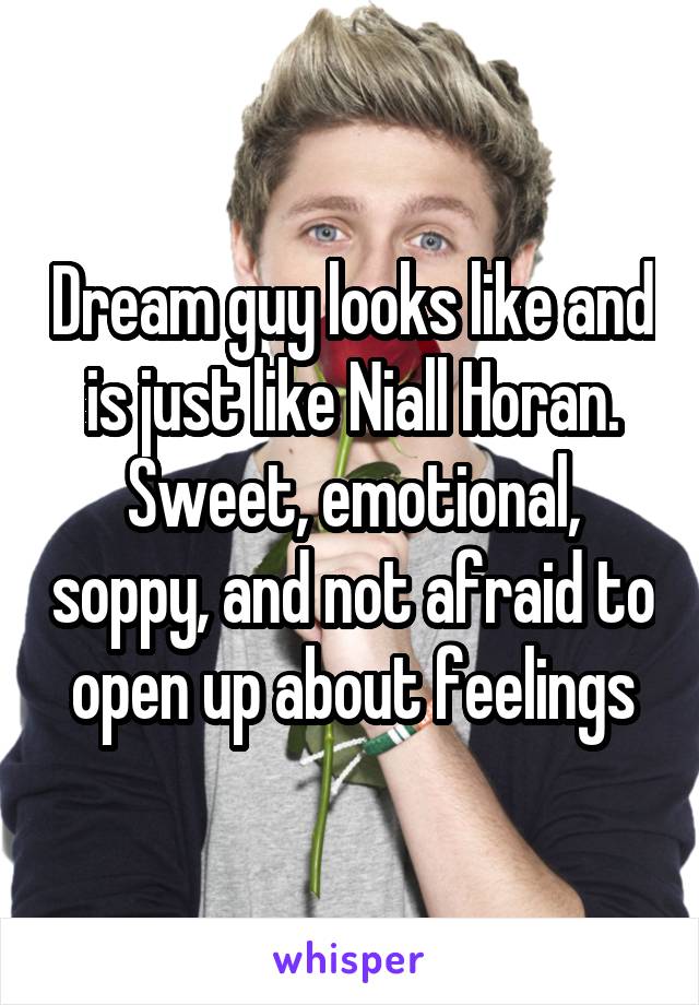 Dream guy looks like and is just like Niall Horan. Sweet, emotional, soppy, and not afraid to open up about feelings