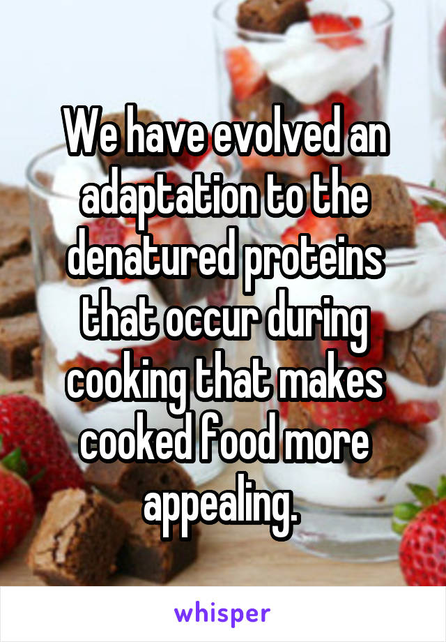 We have evolved an adaptation to the denatured proteins that occur during cooking that makes cooked food more appealing. 