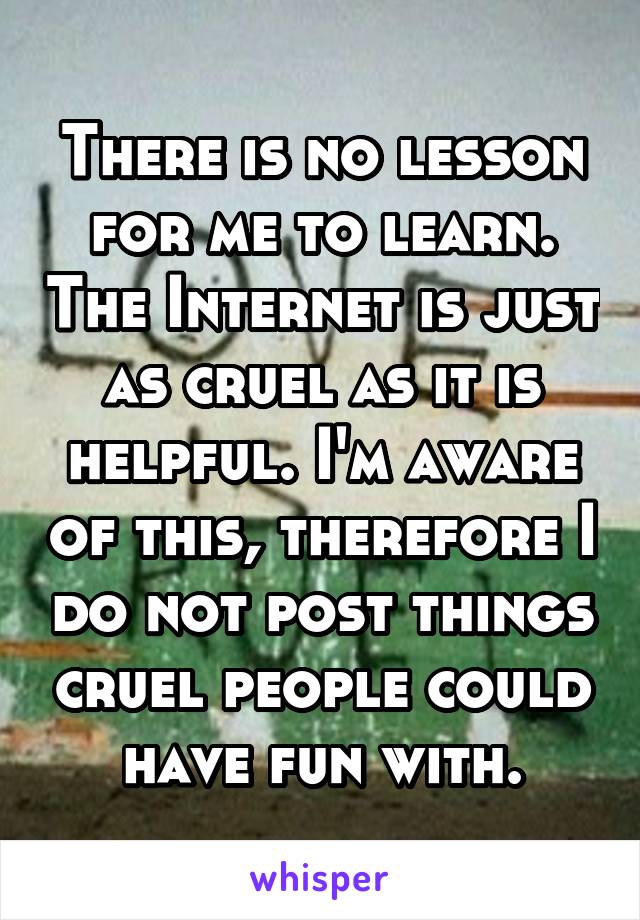 There is no lesson for me to learn. The Internet is just as cruel as it is helpful. I'm aware of this, therefore I do not post things cruel people could have fun with.