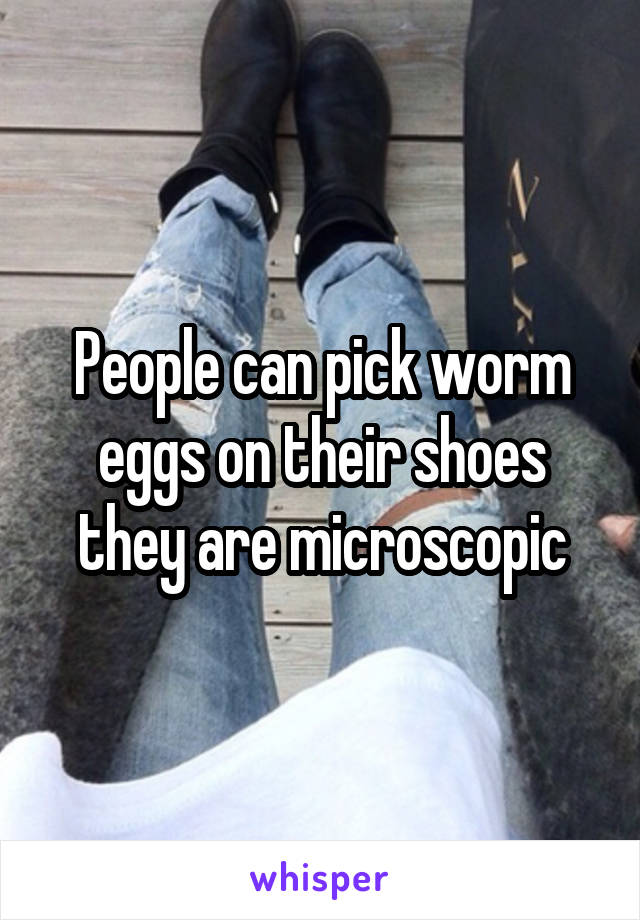 People can pick worm eggs on their shoes they are microscopic