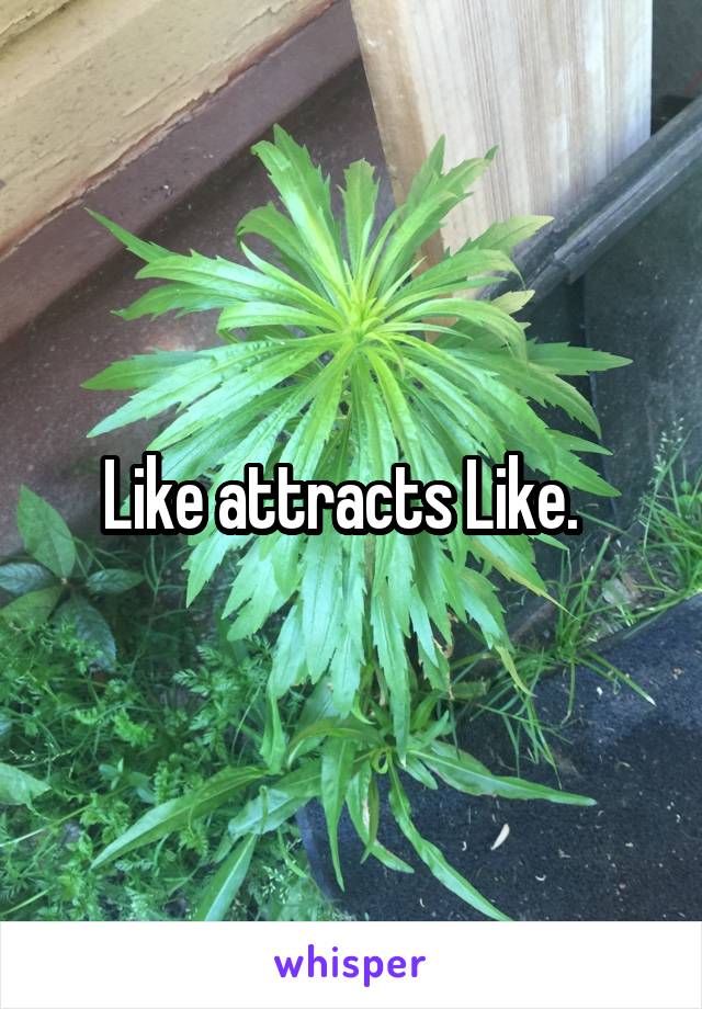 Like attracts Like.  