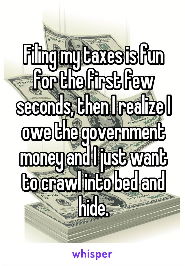 Filing my taxes is fun for the first few seconds, then I realize I owe the government money and I just want to crawl into bed and hide.