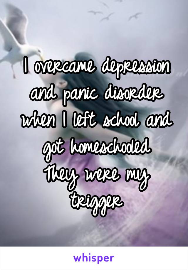 I overcame depression and panic disorder when I left school and got homeschooled
They were my trigger