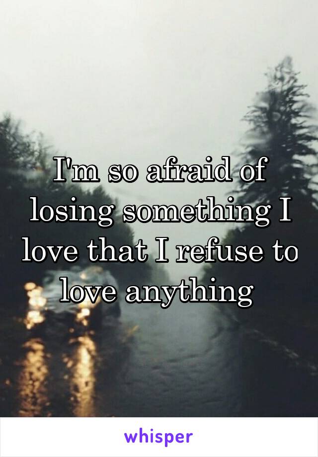 I'm so afraid of losing something I love that I refuse to love anything 
