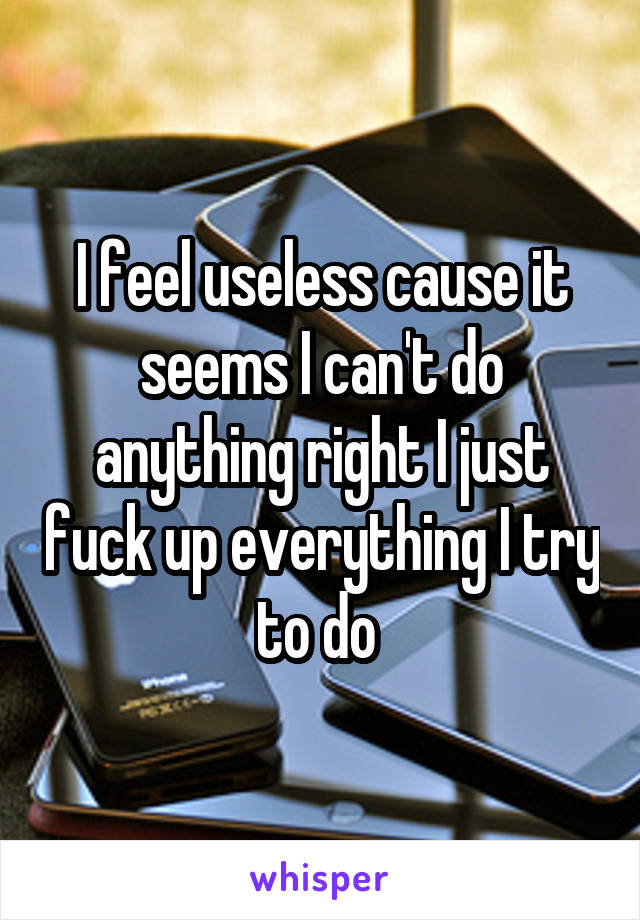 I feel useless cause it seems I can't do anything right I just fuck up everything I try to do 