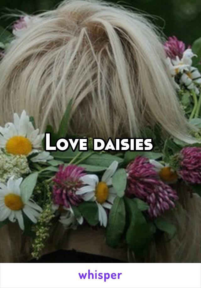 Love daisies 