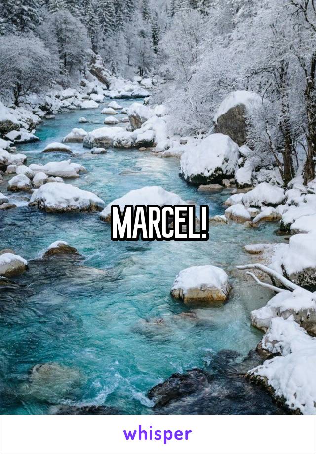 MARCEL!