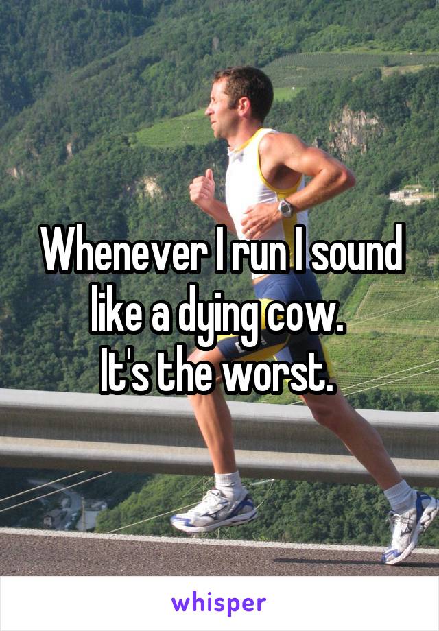 Whenever I run I sound like a dying cow. 
It's the worst. 