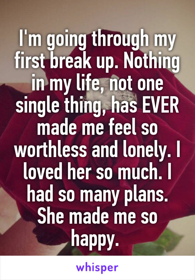 I'm going through my first break up. Nothing in my life, not one single thing, has EVER made me feel so worthless and lonely. I loved her so much. I had so many plans. She made me so happy. 