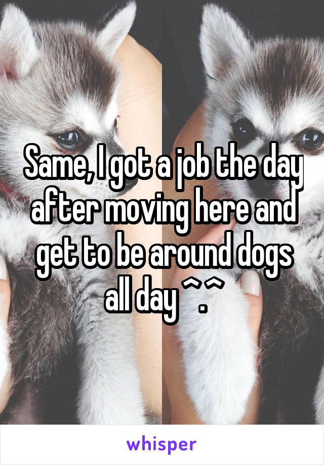 Same, I got a job the day after moving here and get to be around dogs all day ^.^