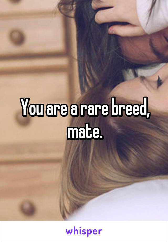 You are a rare breed, mate.