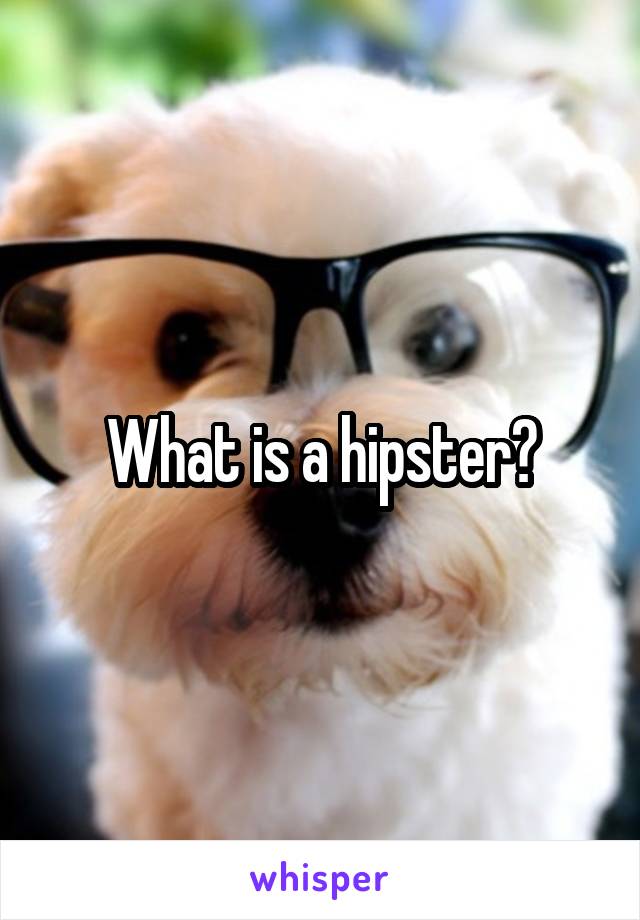 What is a hipster?