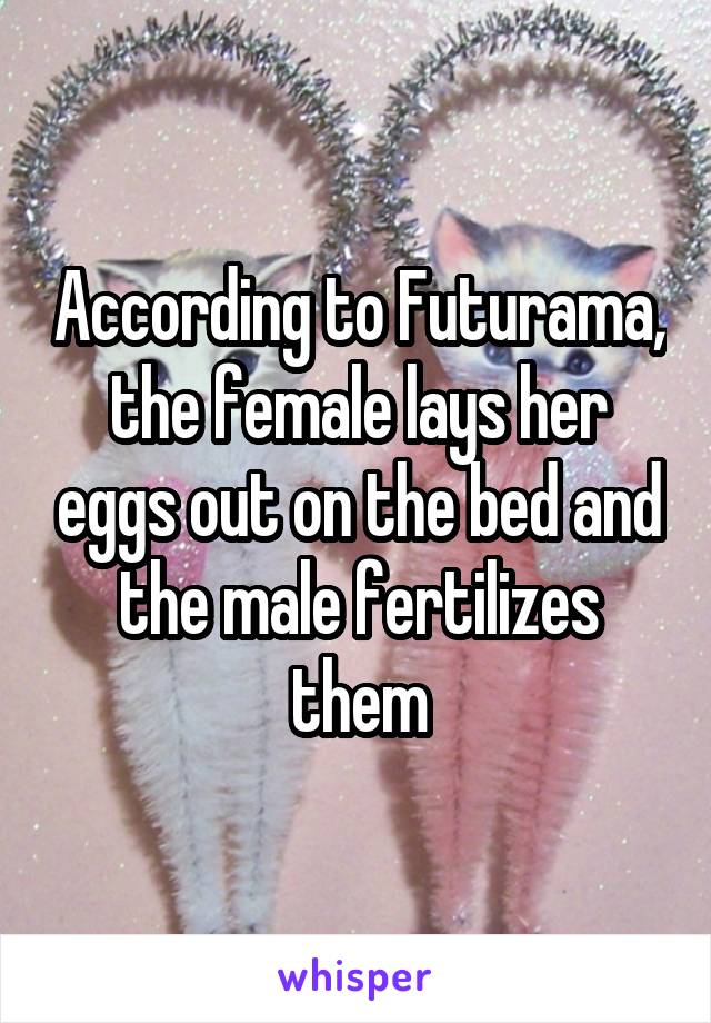 According to Futurama, the female lays her eggs out on the bed and the male fertilizes them