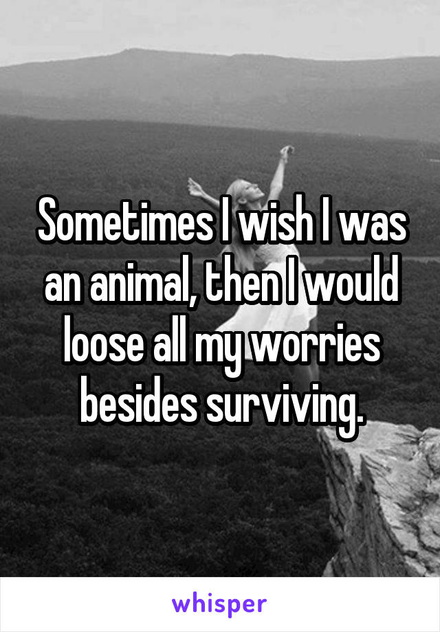 Sometimes I wish I was an animal, then I would loose all my worries besides surviving.