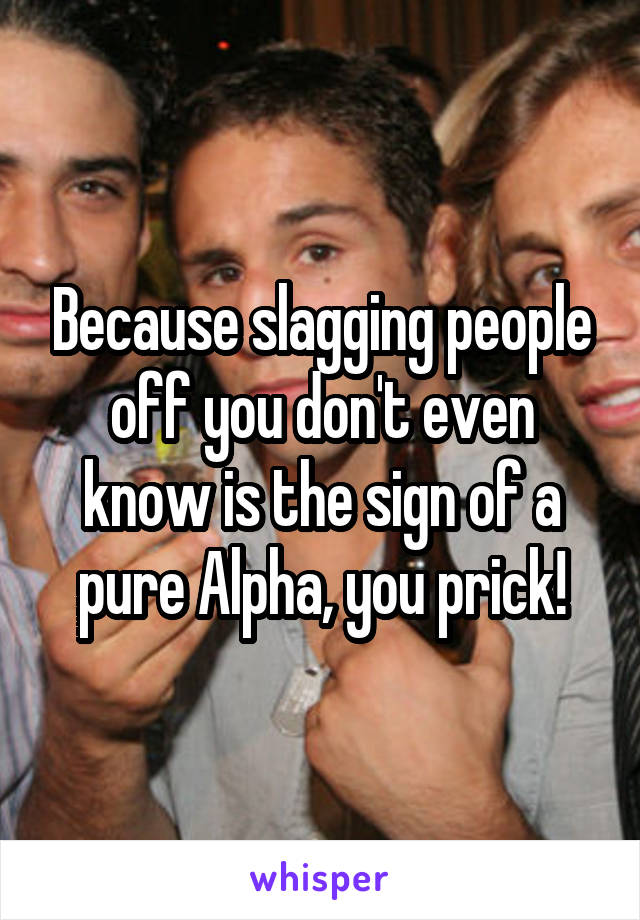 Because slagging people off you don't even know is the sign of a pure Alpha, you prick!