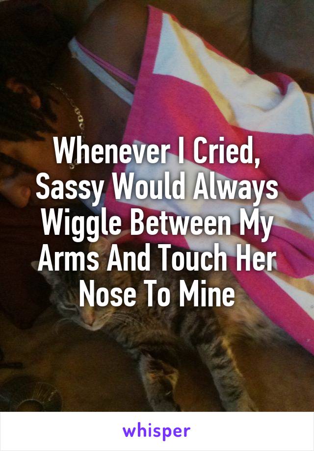 Whenever I Cried, Sassy Would Always Wiggle Between My Arms And Touch Her Nose To Mine
