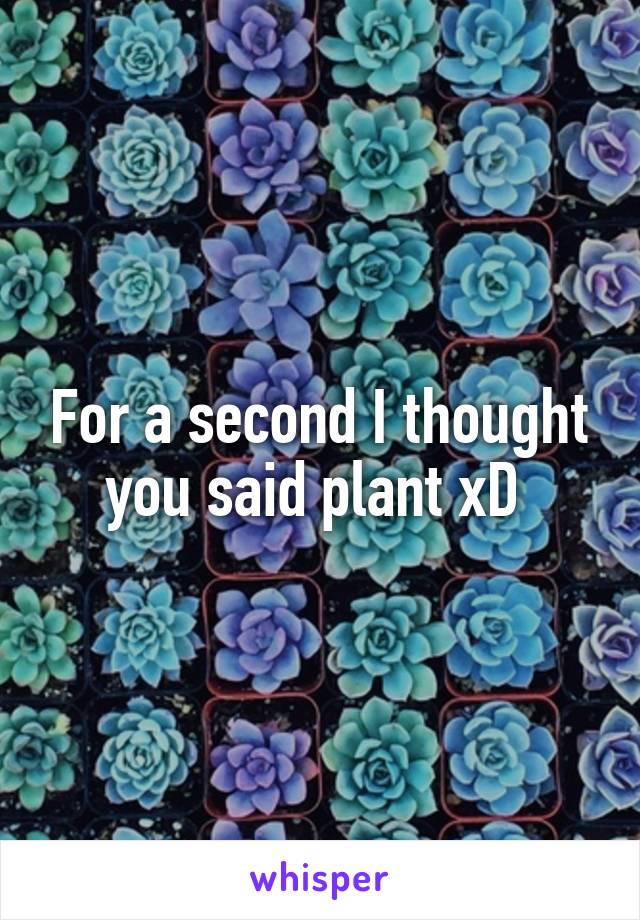 For a second I thought you said plant xD 