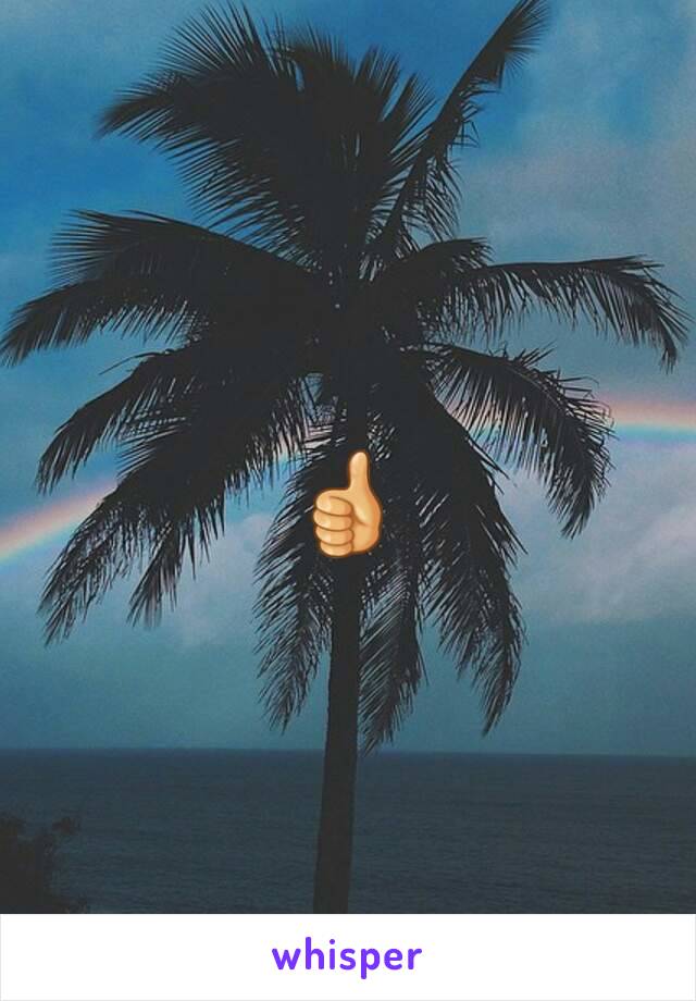 👍