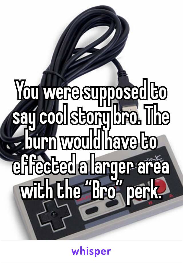 You were supposed to say cool story bro. The burn would have to effected a larger area with the “Bro” perk.