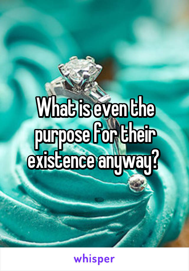 What is even the purpose for their existence anyway? 