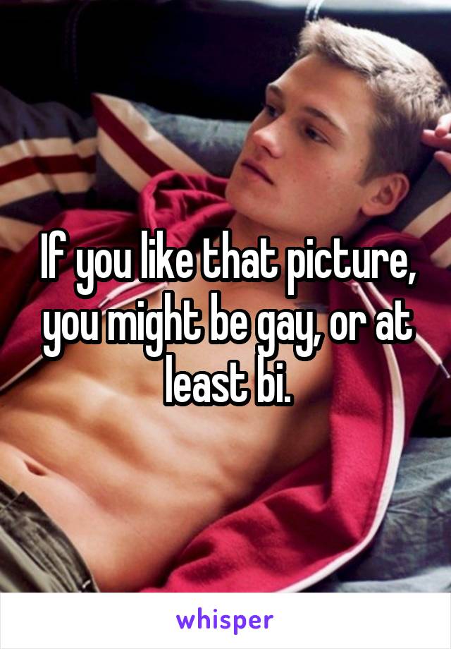 If you like that picture, you might be gay, or at least bi.