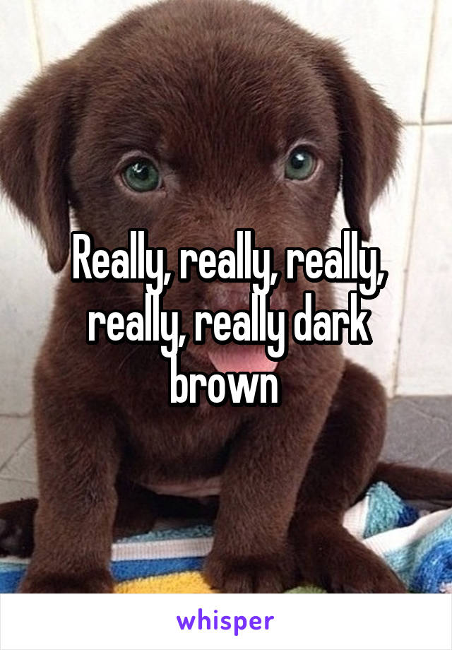 Really, really, really, really, really dark brown 