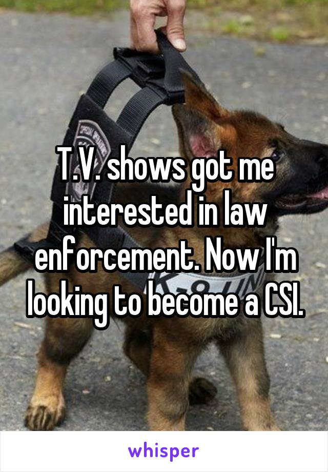T.V. shows got me interested in law enforcement. Now I'm looking to become a CSI.