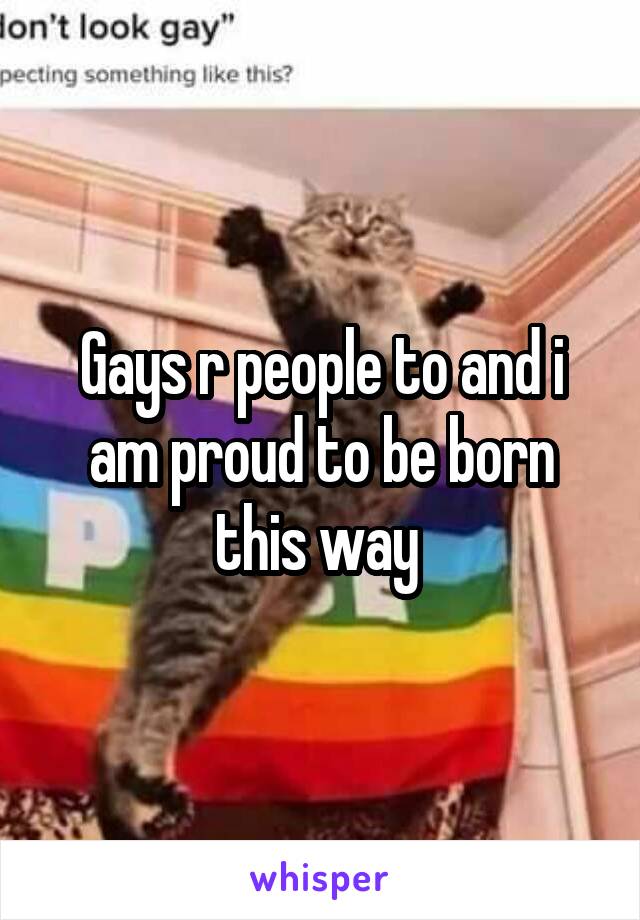 Gays r people to and i am proud to be born this way 