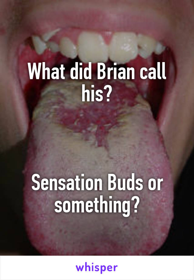 What did Brian call his?



Sensation Buds or something?