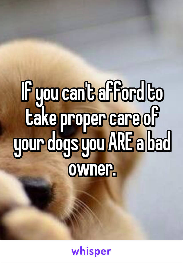 If you can't afford to take proper care of your dogs you ARE a bad owner.